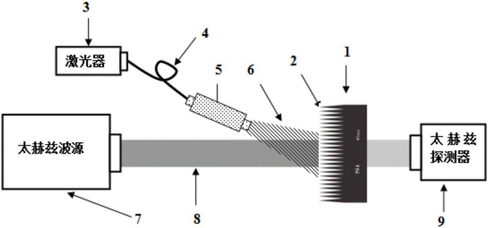 Optical control terahertz wave amplitude modulator based on silicon nanoneedle