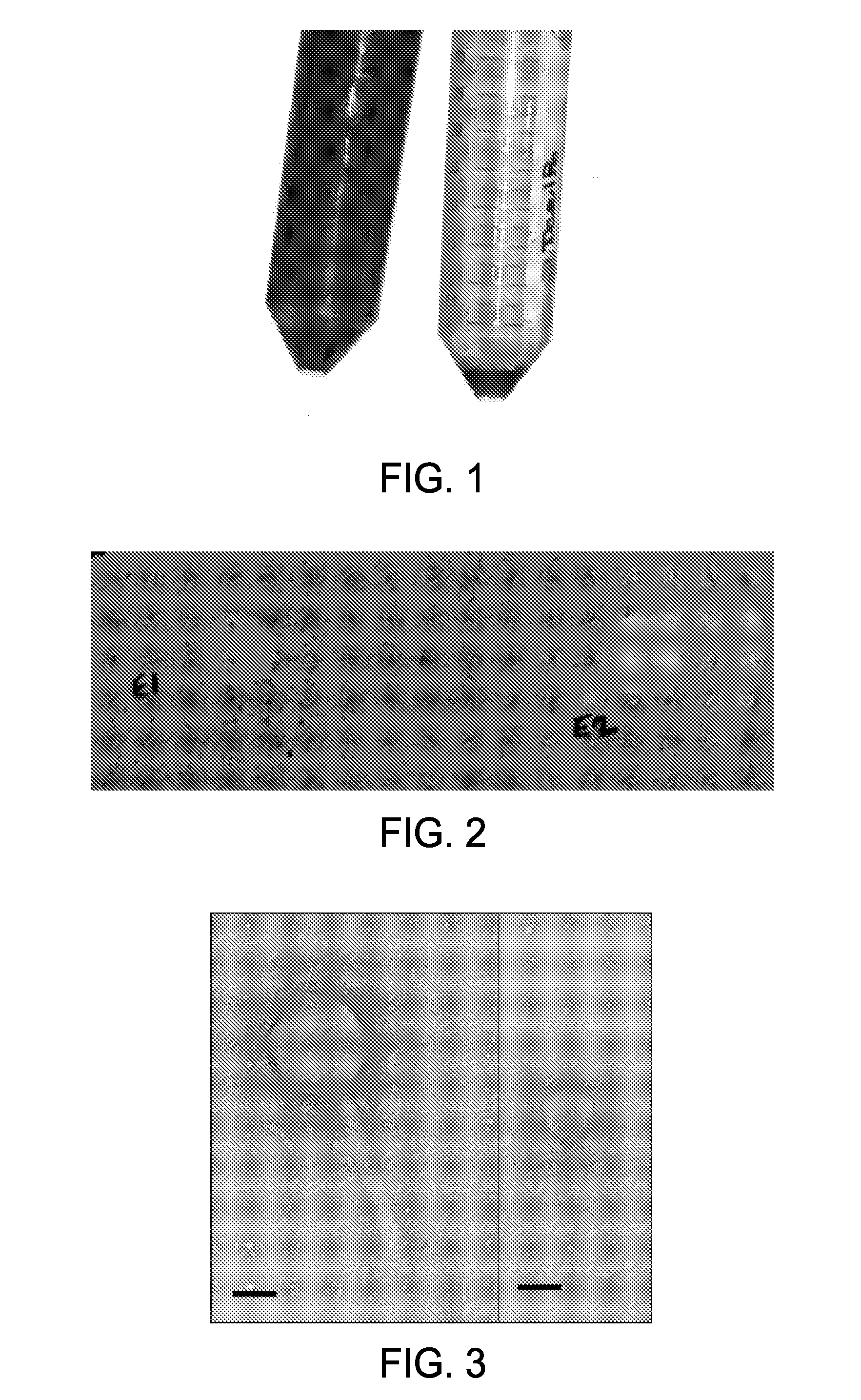 Compositions and methods for the treatment, mitigation and remediation of biocorrosion