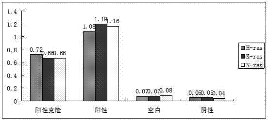 Single-chain antibody KGH-R1-ScFv for resisting p21Ras protein and application thereof