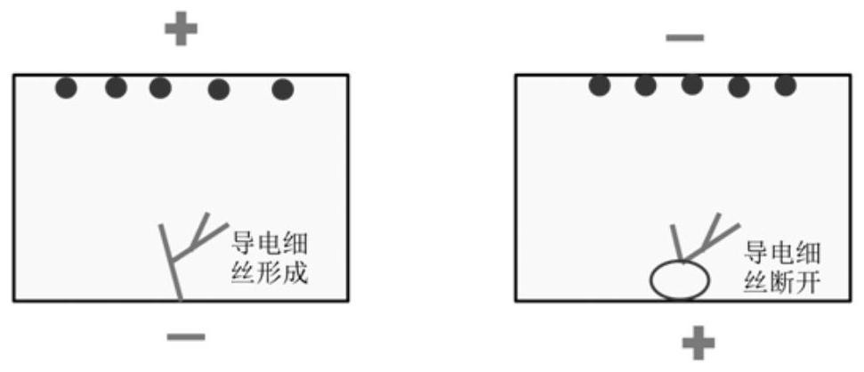 A single crystal linbo  <sub>3</sub> Thin film memristor and preparation method thereof