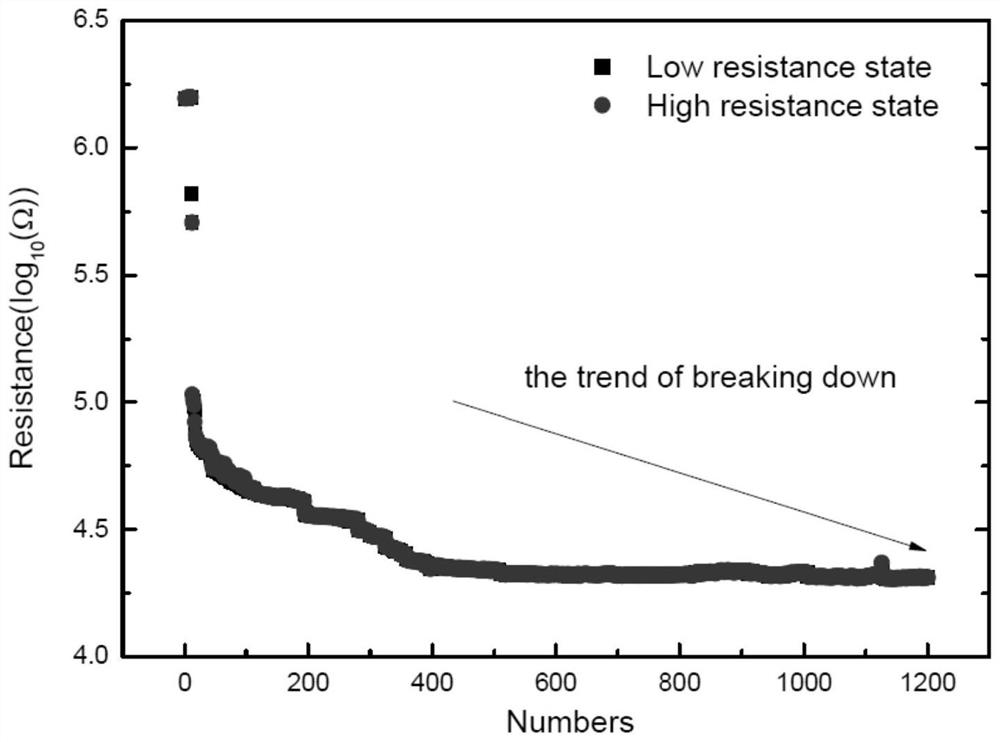 A single crystal linbo  <sub>3</sub> Thin film memristor and preparation method thereof