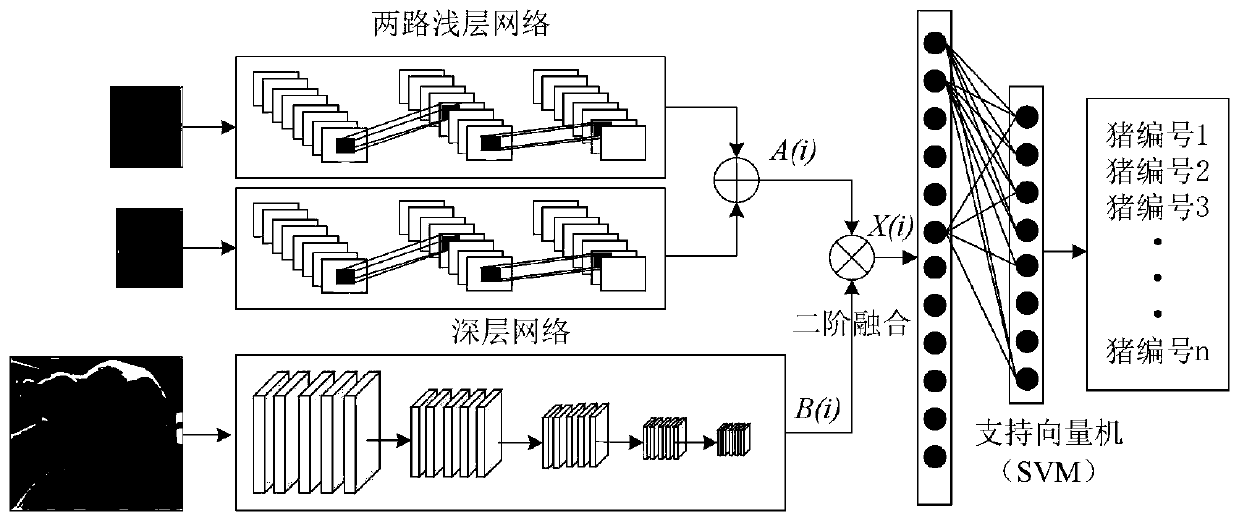 Pig face recognition method adopting multi-channel convolutional neural network