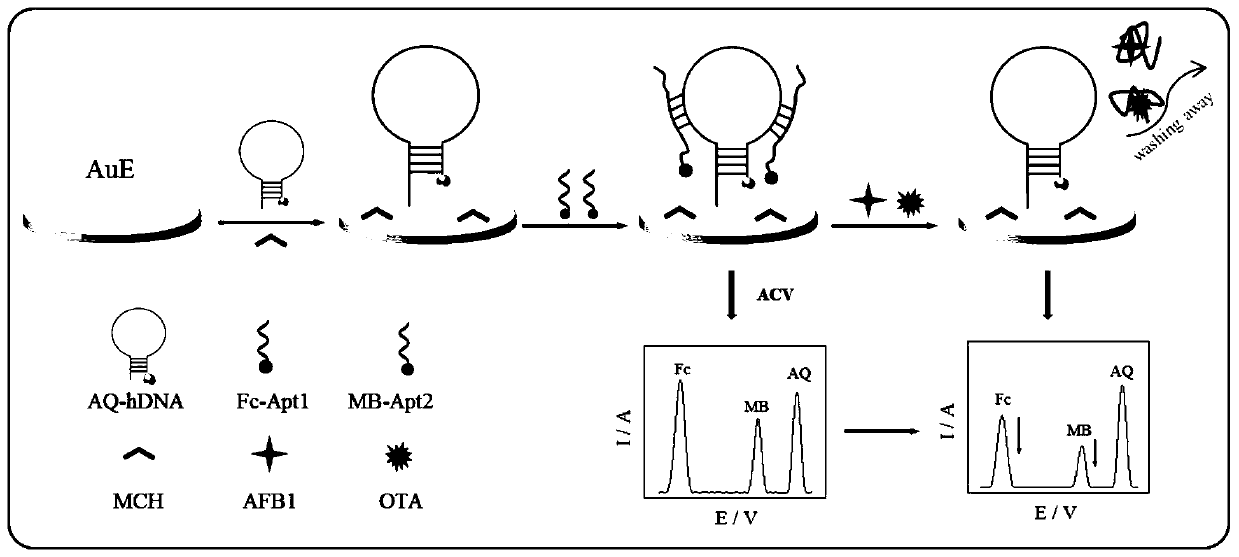 Preparation method of ratio electrochemical aptamer sensor for simultaneously detecting aflatoxin B1 and ochratoxin A