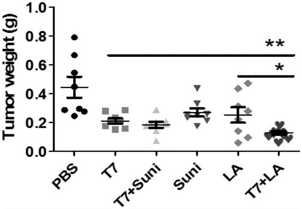 Application of combination of TLR7 agonist and tyrosine kinase inhibitor in preparing antineoplastic drugs