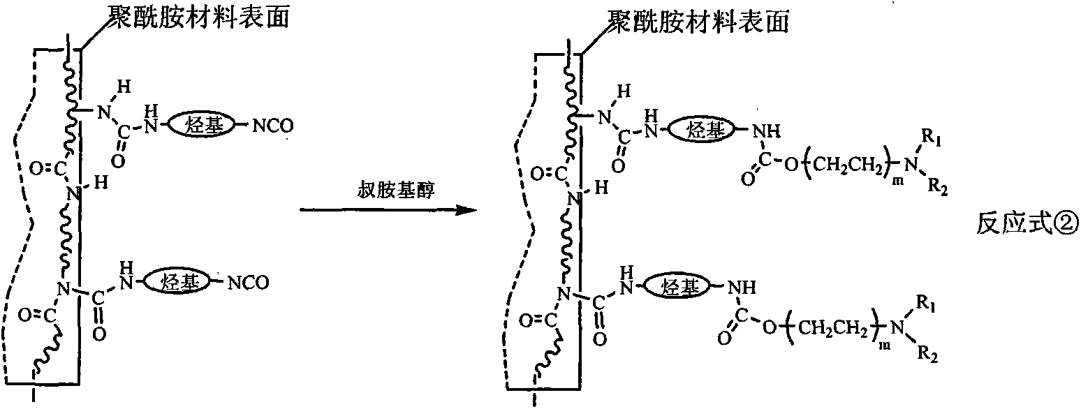 Polyamide material with surface modified with quaternary ammonium salt and salicylaldehyde functional groups and preparation method of polyamide material