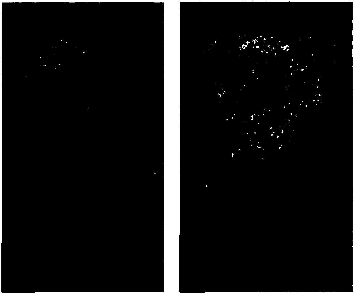 External coating agent for improving skin color