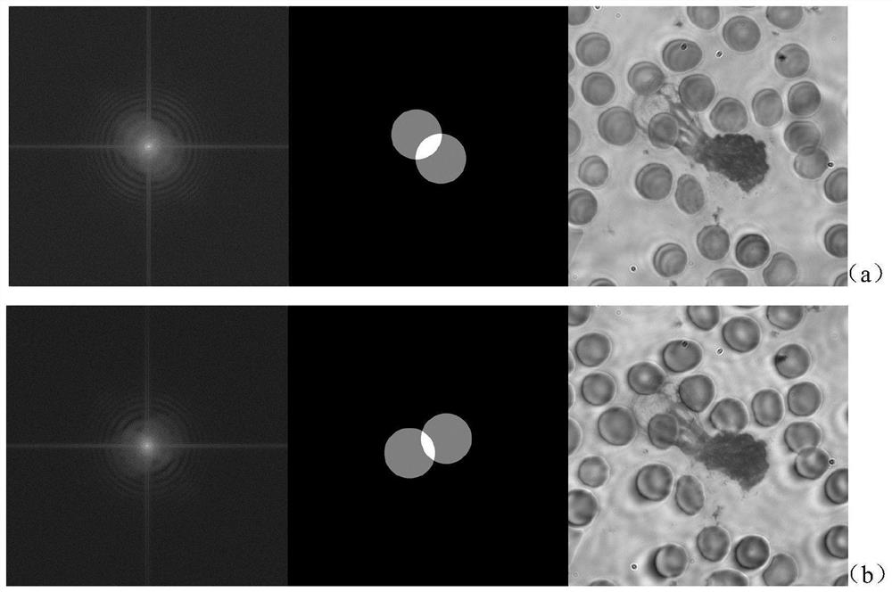 High-resolution microscopic imaging method based on multi-angle illumination deconvolution