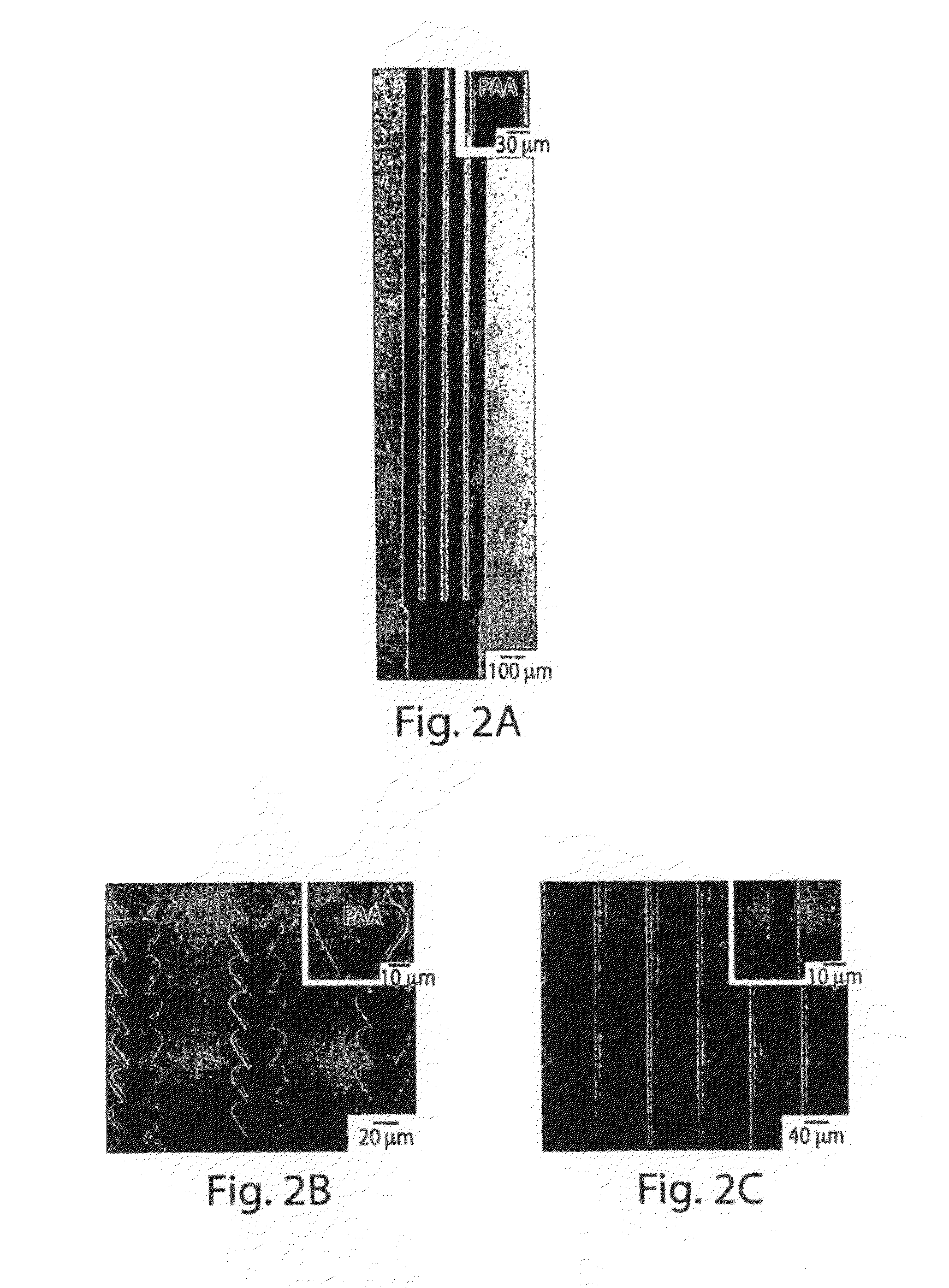 Patterning of ionic polymers