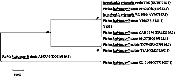 Pichia kudriavzevii strain for preparing beta-phenethyl alcohol through biological transformation of L-phenylalanine, culture method and applications thereof