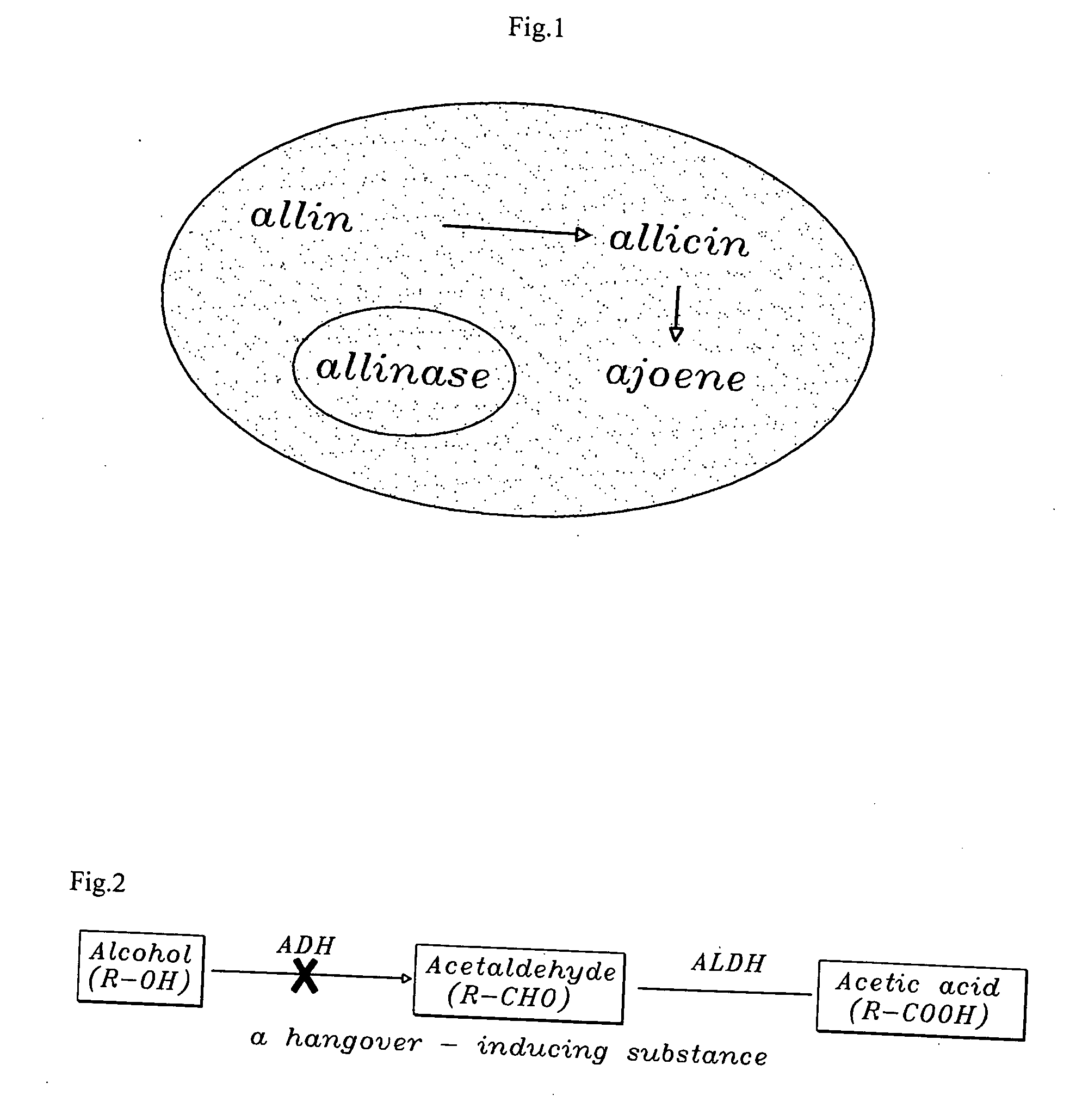 Method of using ajoene as alcohol dehydrogenase inhibitor, composition for removing hangover comprising ajoene and method of preparing the same