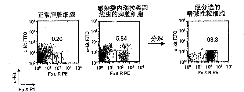 Composition for inducing th2 cells, therapeutic composition for th2 type disease, and use of the composition