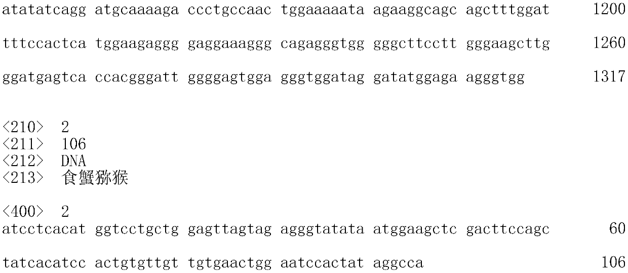 SynPIII, promoter for specific expression of genes in retinal pigment epithelium