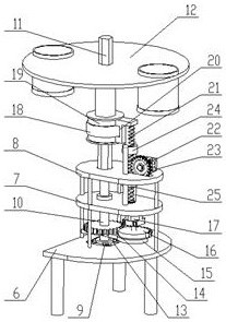 Zebra fish training device