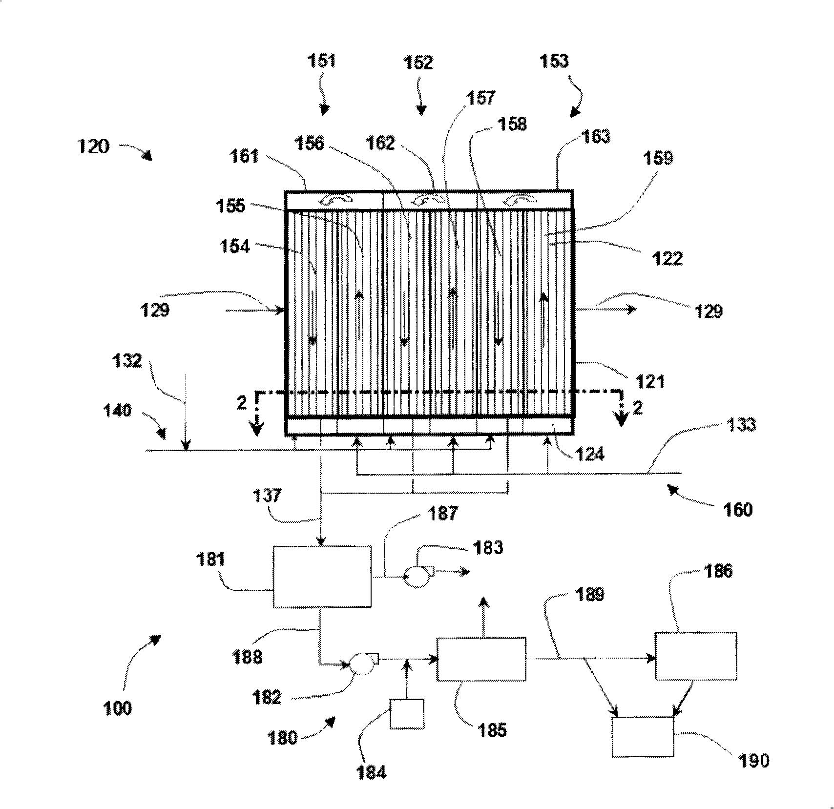 System and method for growing photosynthetic cells