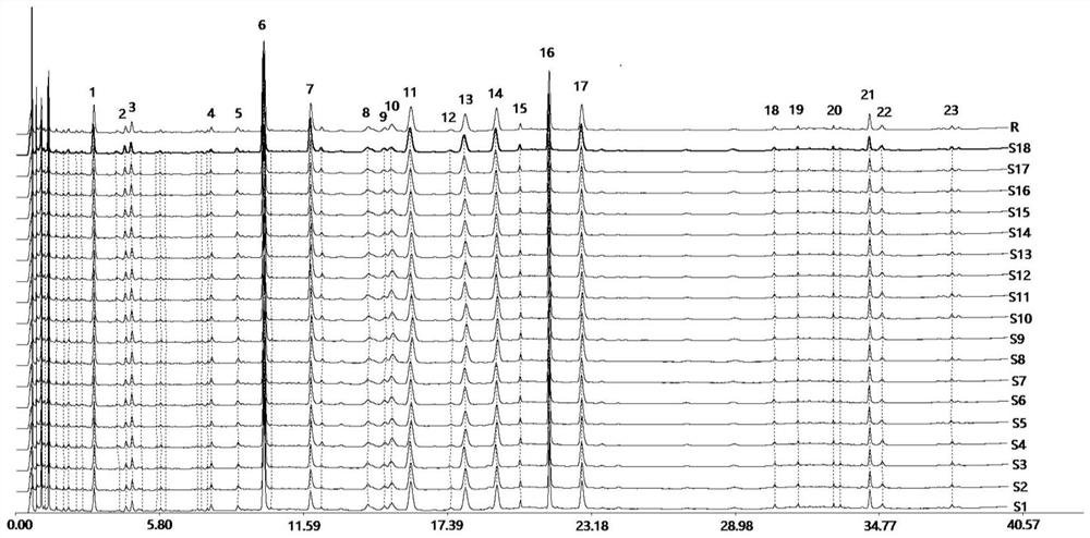 Fingerprint spectrum detection method for Ganshuang granules