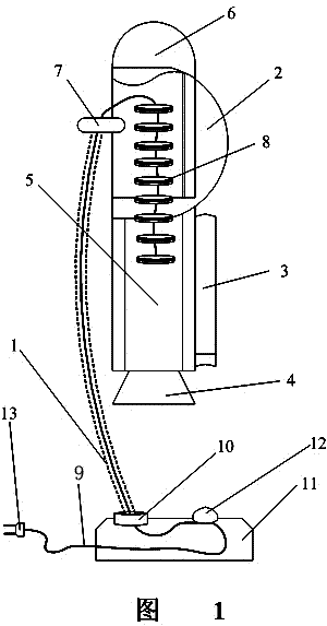 Vertical space shuttle lamp capable of acting freely and application thereof