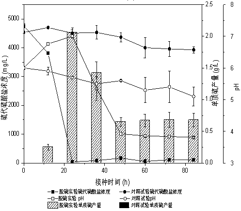 Sulfur-oxidizing bacterium and method for removing sulfide by using sulfur-oxidizing bacterium