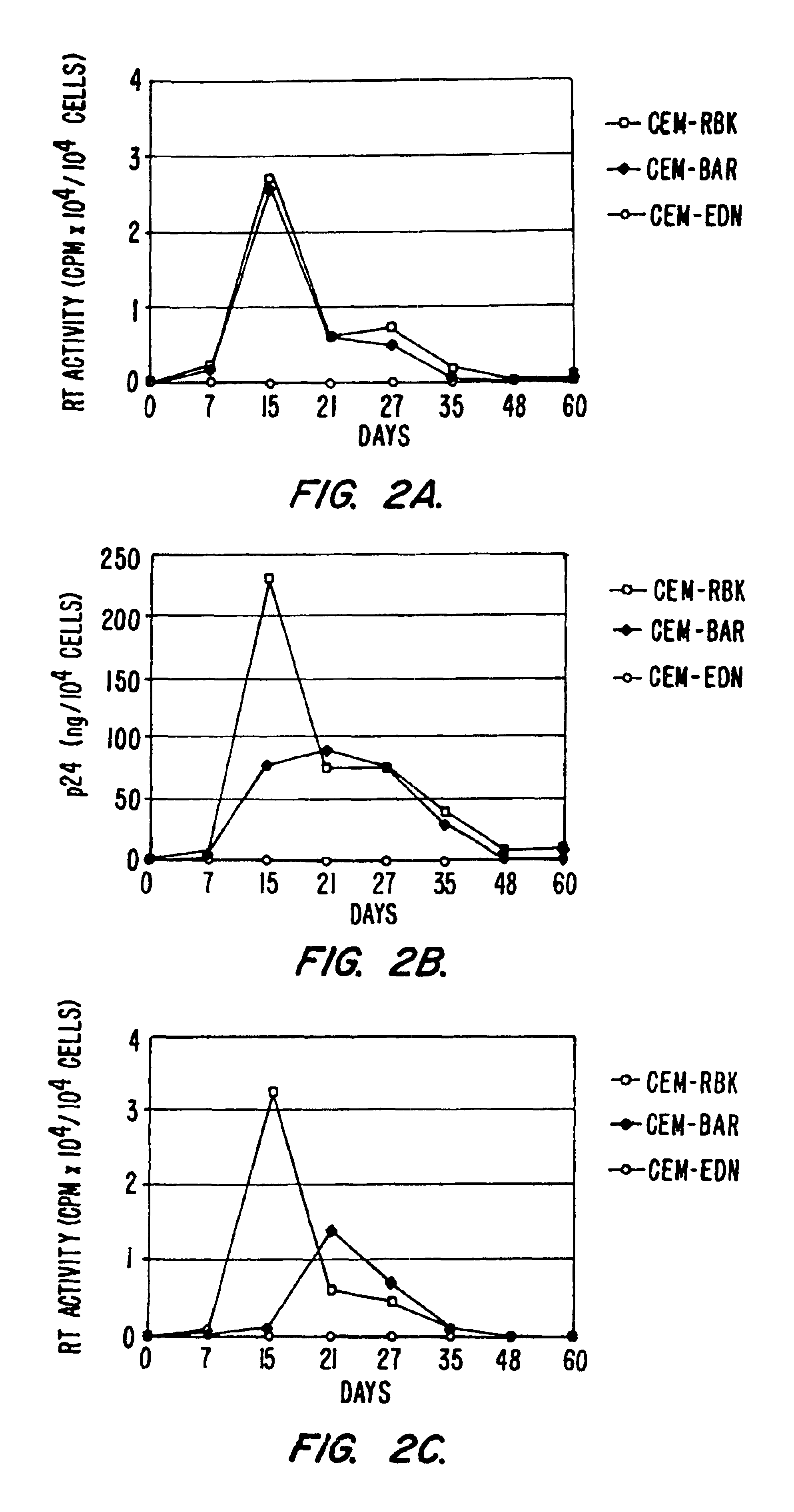 Vectors for delivering viral and oncogenic inhibitors