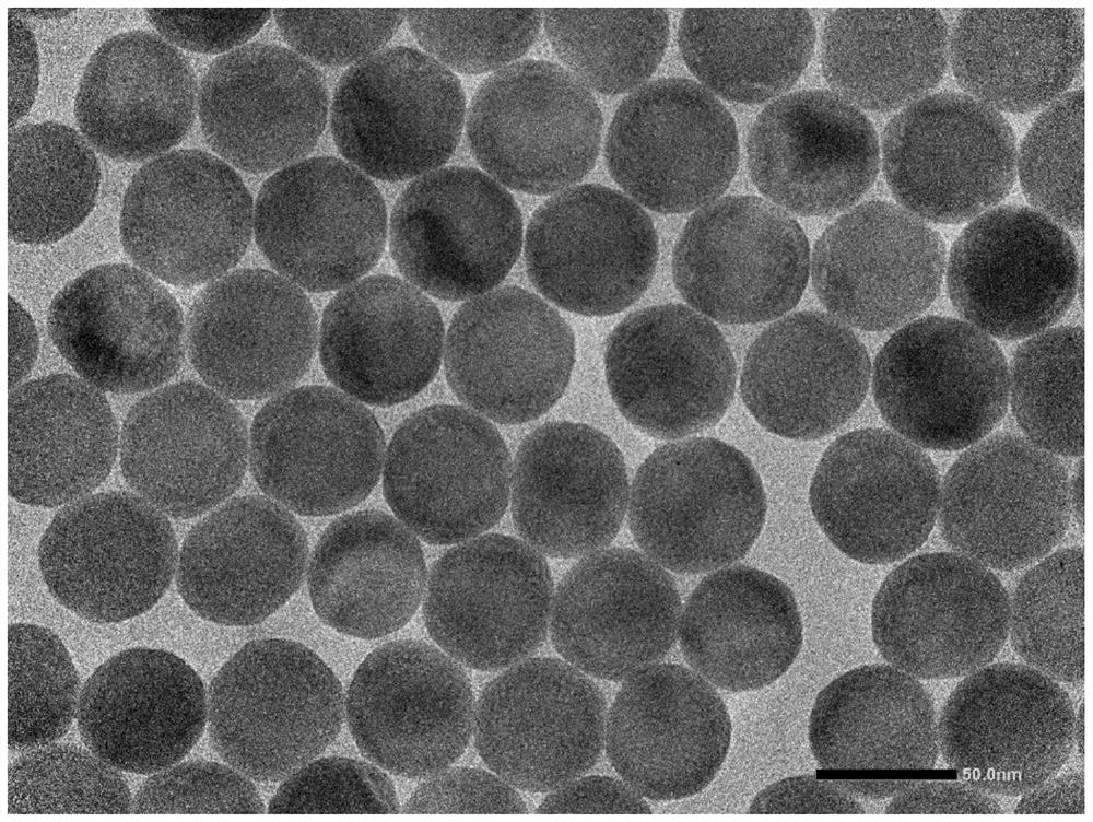 A rare earth nanomaterial containing polystyrene shell and its biocoupling and application