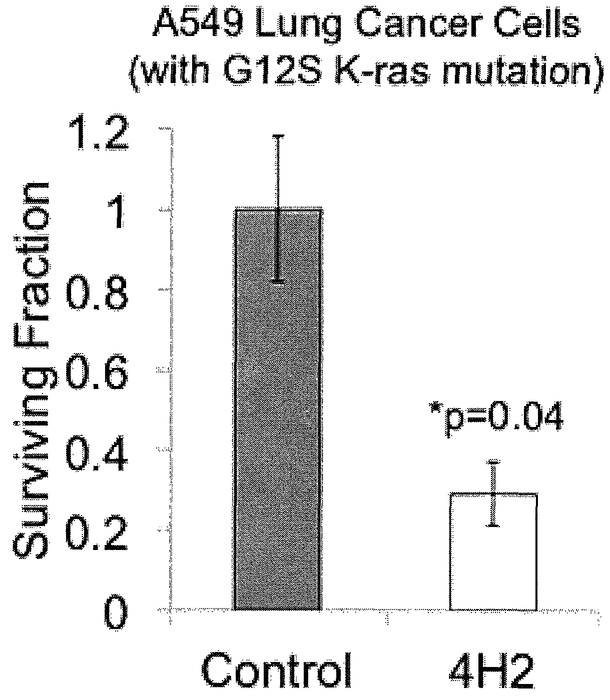 Cell penetrating anti-guanosine antibody based therapy for cancers with Ras mutations