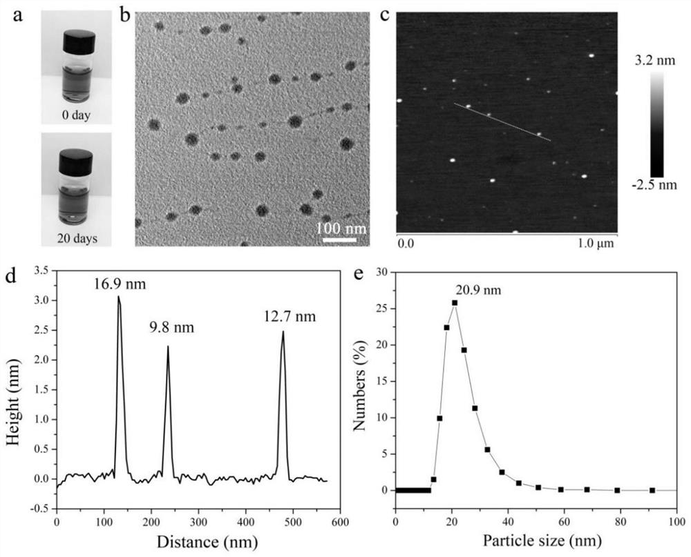 A kind of small-sized gadolinium-polyphenol polymer nanoparticle and its preparation method and application