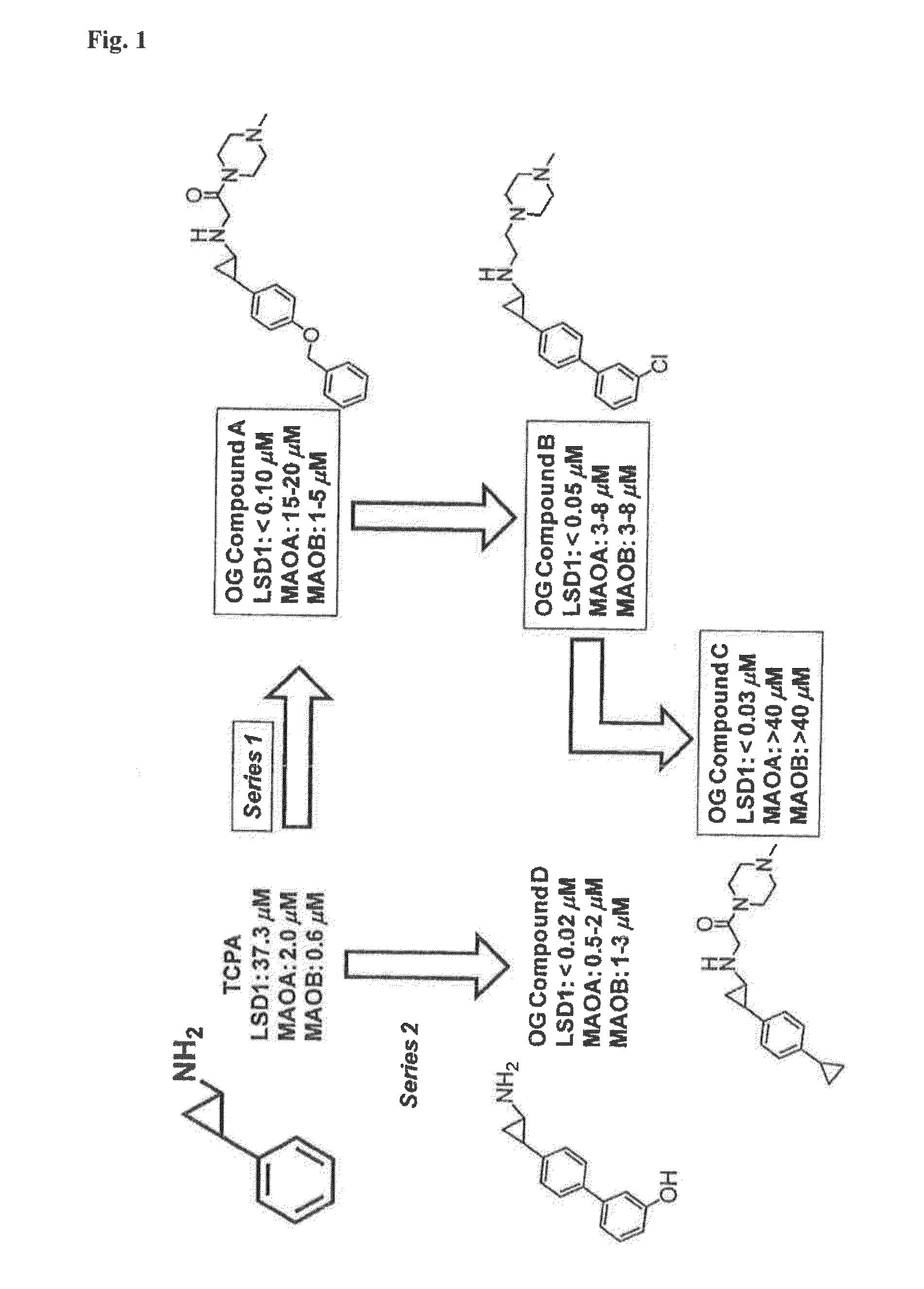Cyclopropylamine derivatives useful as lsd1 inhibitors