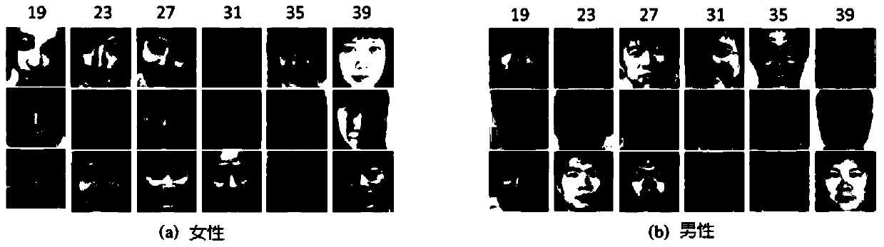 Age Estimation Method Based on Multi-Output Convolutional Neural Network and Ordinal Regression