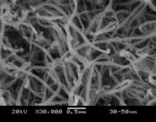 Preparation method of boron-doped p type carbon nanotube with high seebeck coefficient