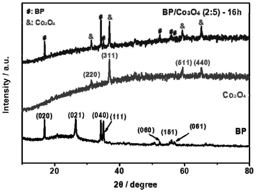 Preparation method of black phosphorus/cobalt tetroxide composite oxygen evolution electrocatalyst