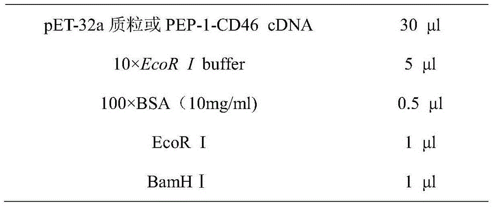 Genetically engineered bacterium capable of expressing cell-penetrating peptide fusion protein and application