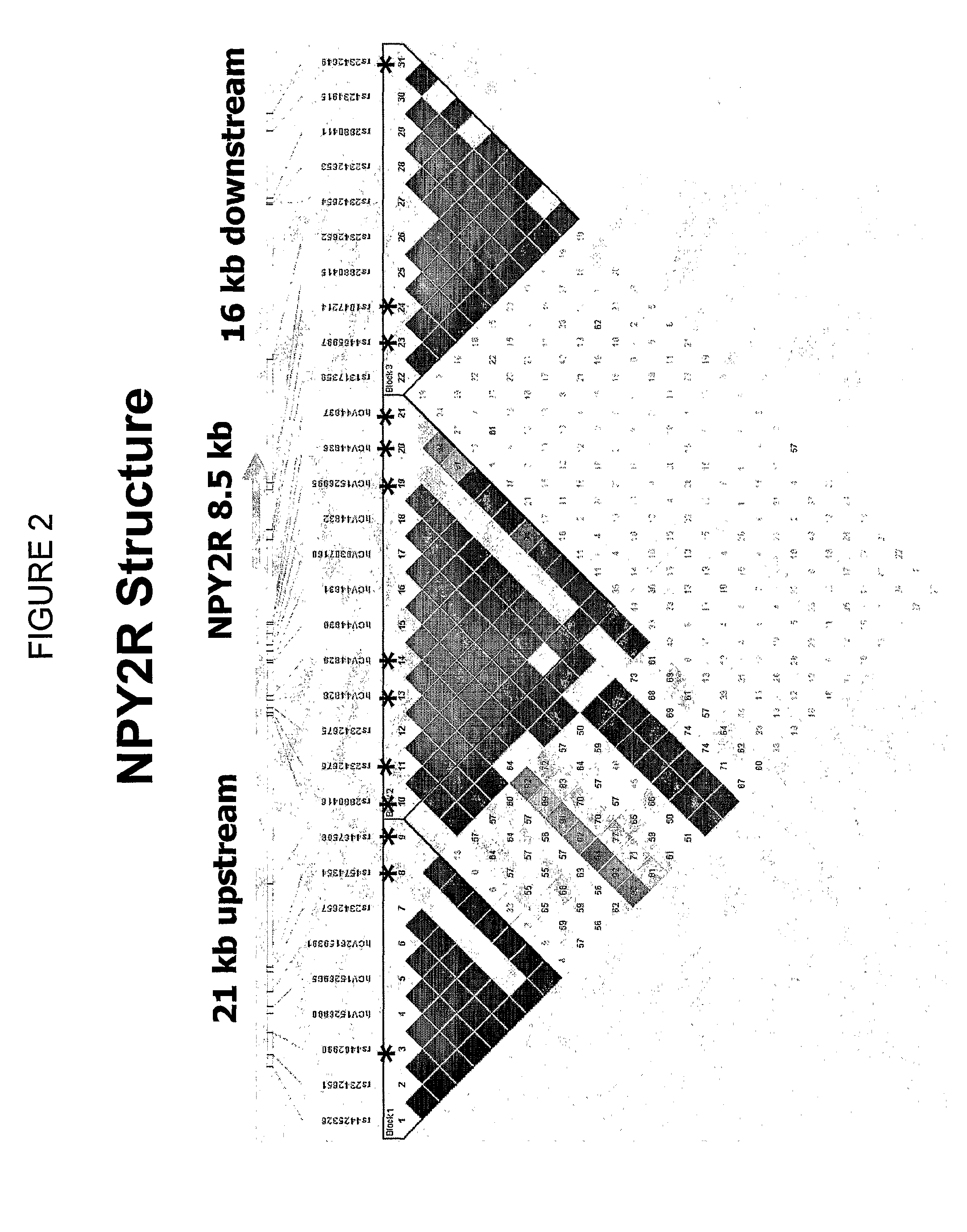 Compositions and Methods for Obesity Screening Using Polymorphisms in Npy2r