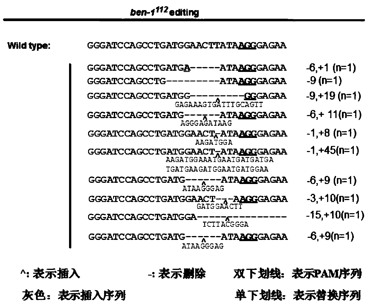 Co-editing marker ben-1sgRNA target site, CRISPR/Cas9 co-editing system and application of target site