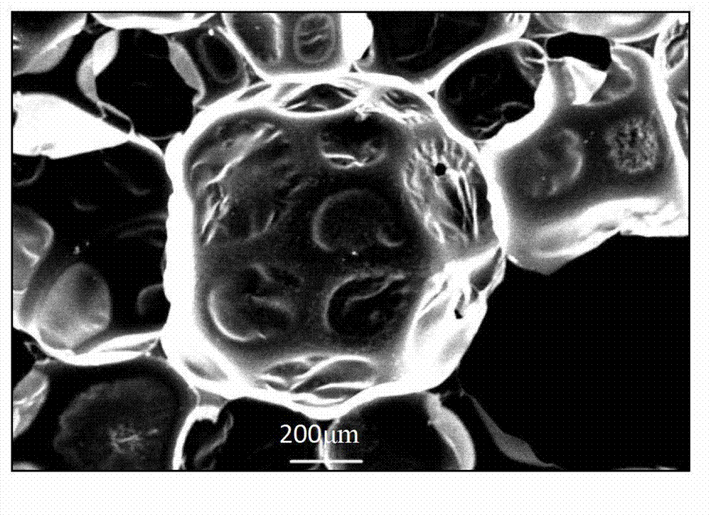 Method for fixing oil decomposing bacteria by polyurethane foam