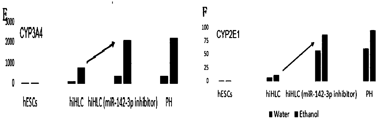 Method for improving detoxification function of hepatocyte-like cells derived from human stem cells and application of method
