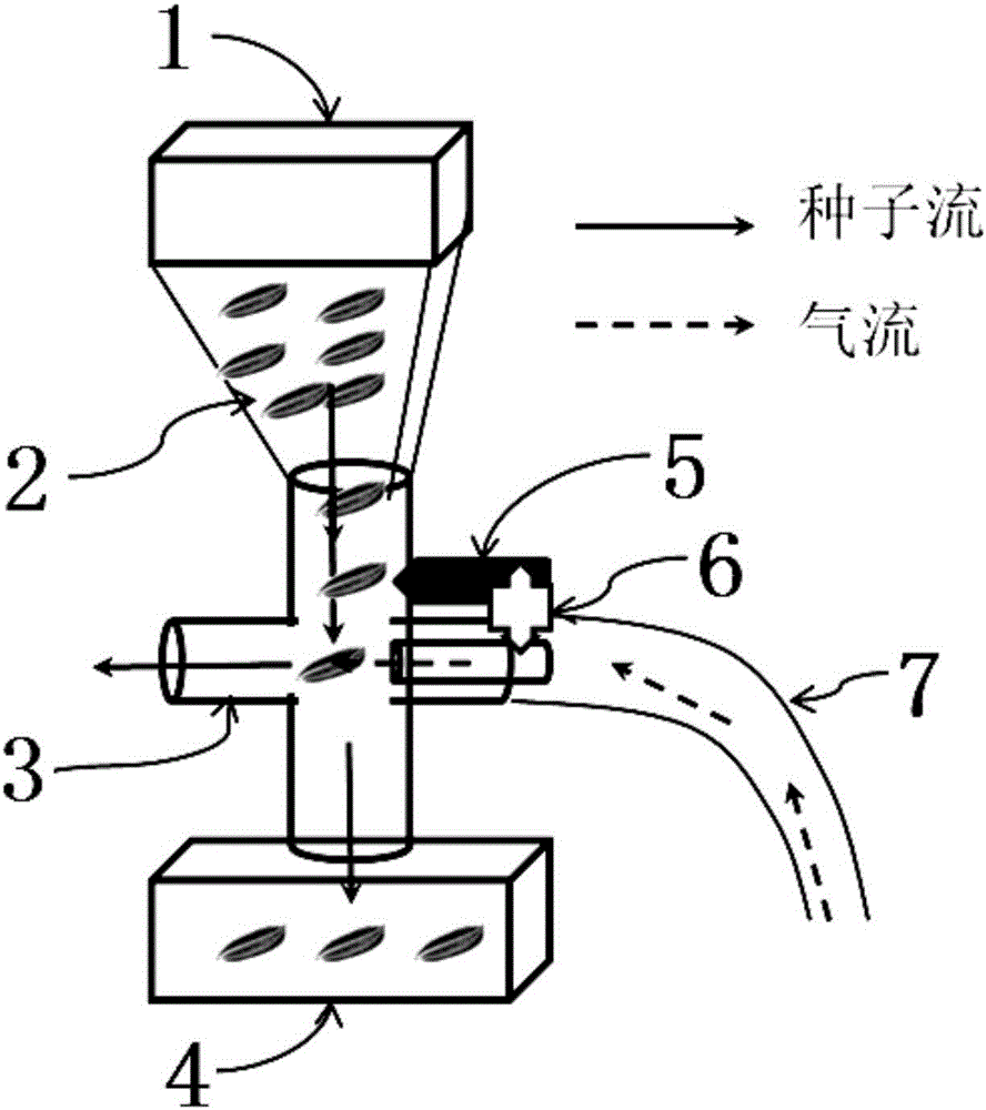 Seed spray device and sowing method