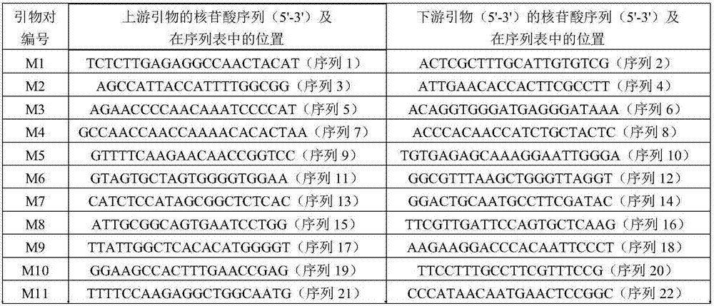 Method for authenticating cucumber variety authenticity and SSR primer group special for method