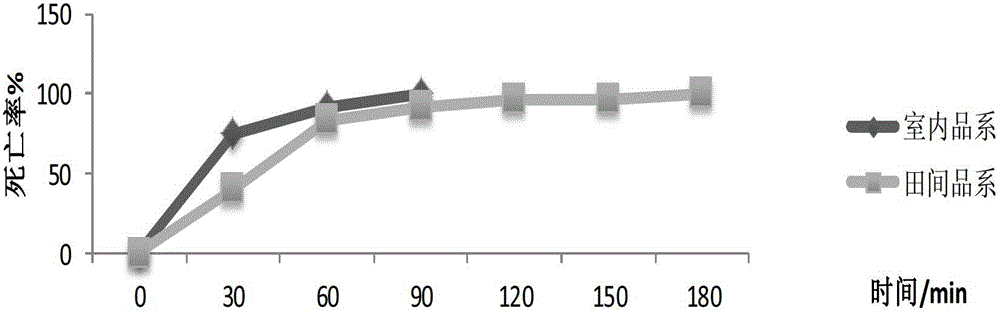 A method for detecting the sensitivity of brown planthopper to pesticides