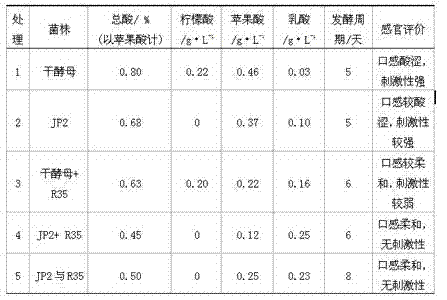 Double-effect fermentation and biological acid reduction brewing method for fruit wine