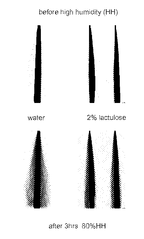 Method of treating hair with a sugar composition