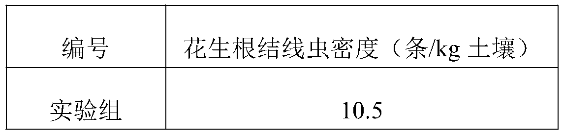 Composite microbial agent for preventing and controlling Meloidogyne arenria, and preparation method thereof