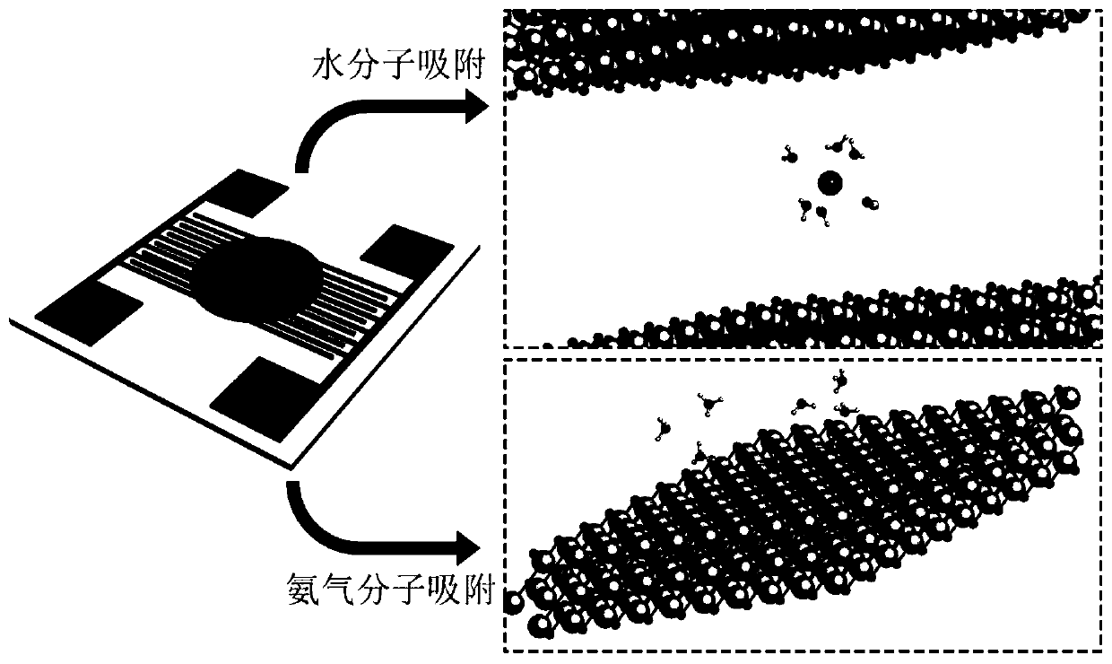 Planar humidity-ammonia gas sensor based on alkalized organ-like MXene sensitive material and preparation method thereof