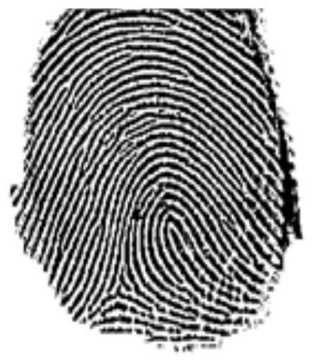 Method for making simulated fingerprint