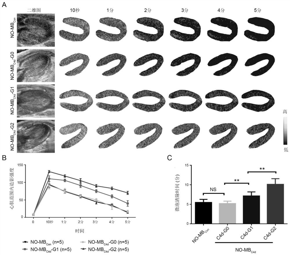 A kind of NO-loaded targeting microbubble and preparation method and application thereof