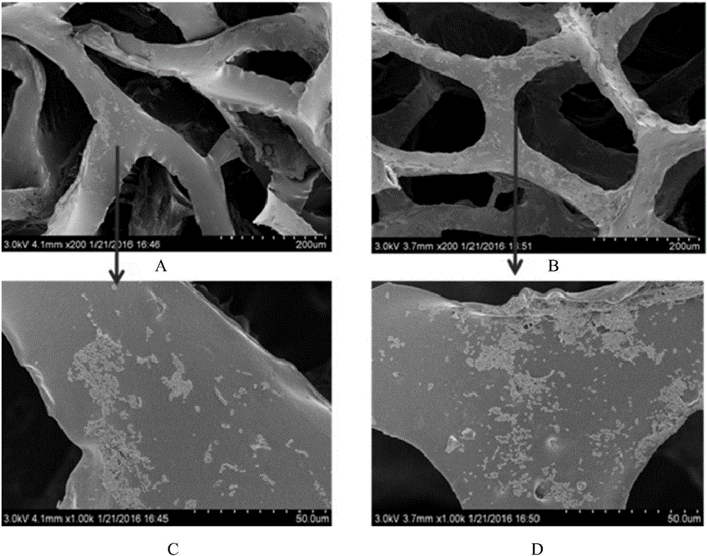 Petroleum hydrocarbon degrading strain, petroleum hydrocarbon degrading microbial agent, as well as preparation method and applications of petroleum hydrocarbon degrading microbial agent