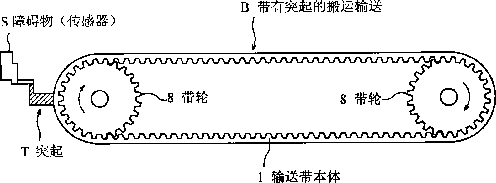 Belt with projection