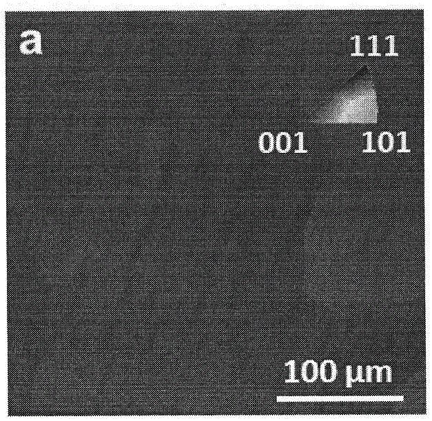 Preparation method of large-size cu(100) single crystal copper foil