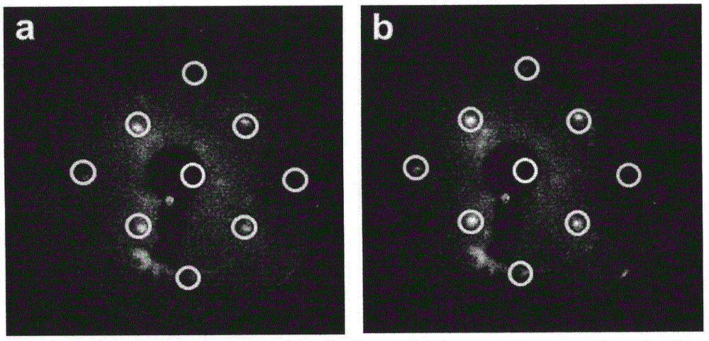 Preparation method of large-size cu(100) single crystal copper foil