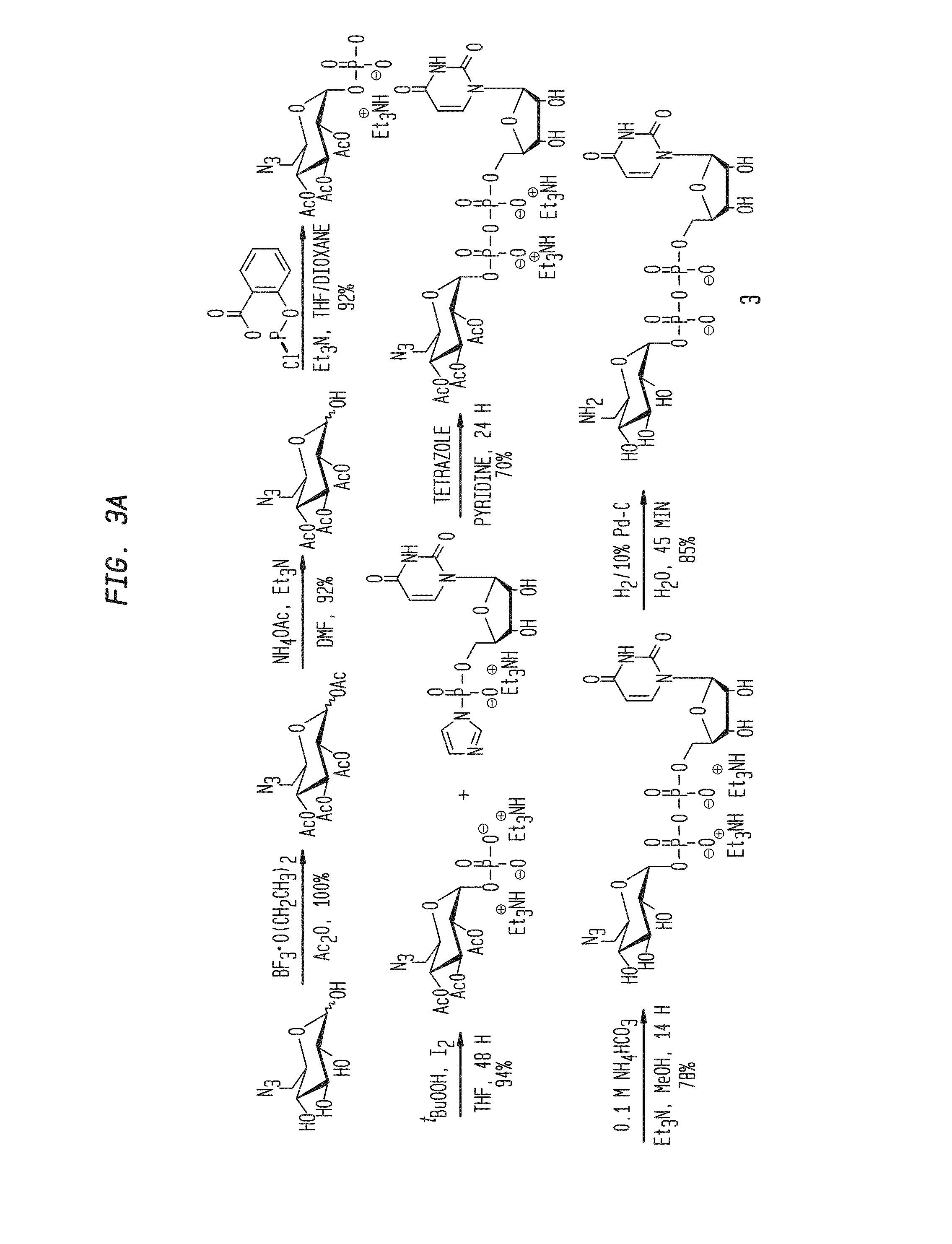 Compositions and Methods for the Transfer of a Hexosamine to a Modified Nucleotide in a Nucleic Acid