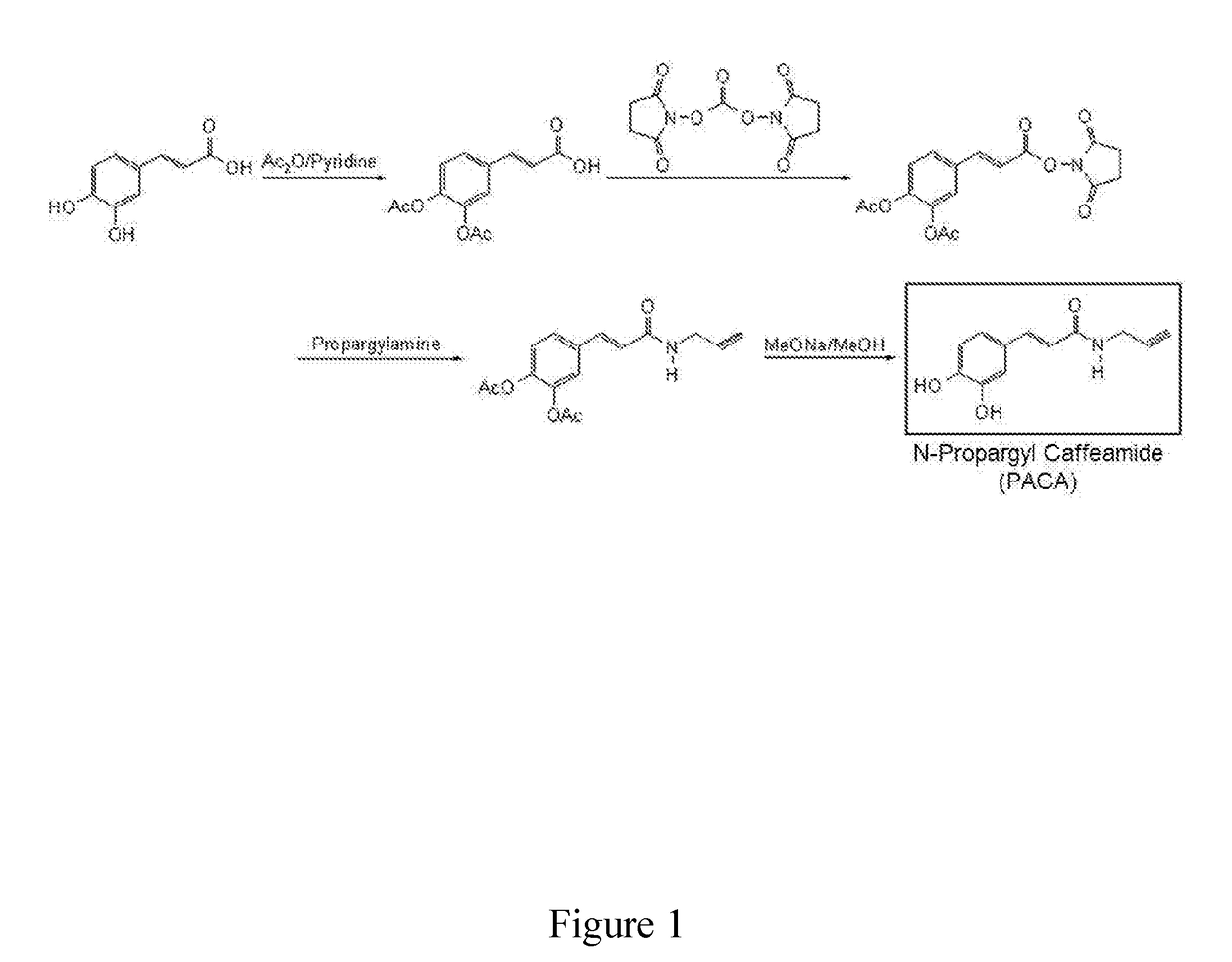 A Novel Neuroprotective and Neurorestorative N-Propargyl Caffeamide (PACA) and Use as A Treatment for Neurodegenerative Diseases