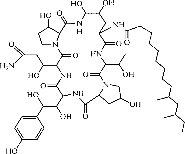 A kind of preparation method of high-purity lung capsule Kangding b0